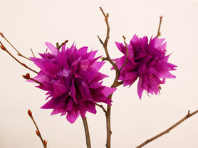  Frühlingsdeko: (Blitz-)Seidenpapierblumen oder Mini-Pompoms 