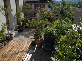 unsere Terrasse oder doch eher Dachgarten