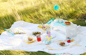 Sommer-Picknick