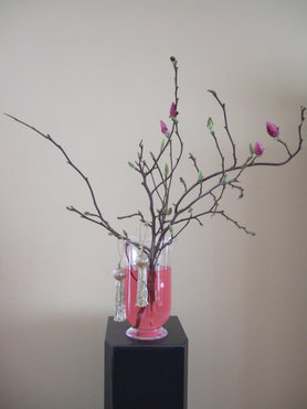 magnolienzweige