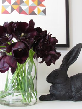 schwarze Tulpen...