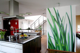 Wohnküche mit Fototapete