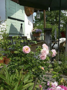 Sommer vorm Gartenhaus