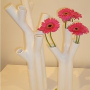 Roseau Vasen in weiß