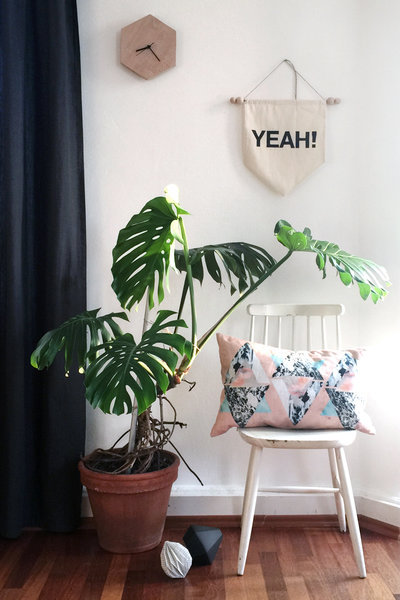 monstera pflanze neben weißem stuhl