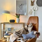 FotoFragen-Freitag: So gemütlich ist es gerade in euren Zuhausen + neue FotoFrage