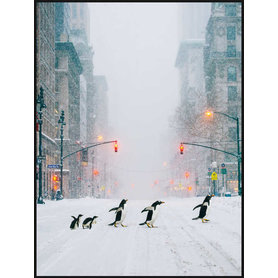 NYC Penguins: Robert Jahns