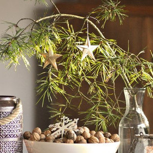 Hübsche Weihnachtssterne basteln! Hübsche Weihnachtssterne basteln!