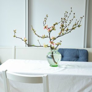 Dekorieren mit Frühlingszweigen: Die schönsten Ideen für deine Vase Dekorieren mit Frühlingszweigen: Die schönsten Ideen für deine Vase