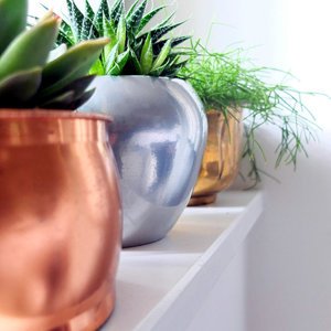 Schöne Blumentöpfe kaufen Schöne Blumentöpfe kaufen