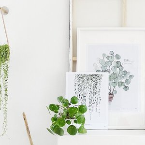 Vertikale Pflanzendeko mit schönen Blumenampeln Vertikale Pflanzendeko mit schönen Blumenampeln