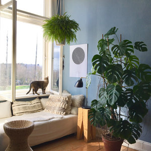 Neue Wandfarbe: Beruhigendes Blau Neue Wandfarbe: Beruhigendes Blau