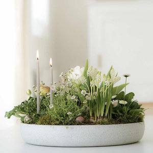 Die schönsten Ideen für bepflanzte Frühlingsschalen Die schönsten Ideen für bepflanzte Frühlingsschalen