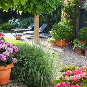 Gartenstorys: Interviews und Einblicke in wunderschöne Gärten Gartenstorys: Interviews und Einblicke in wunderschöne Gärten