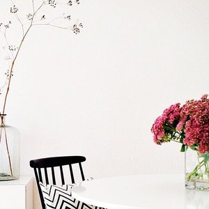 Der Eames House Bird Der Eames House Bird