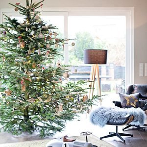 Dekoideen für den Weihnachtsbaum Dekoideen für den Weihnachtsbaum