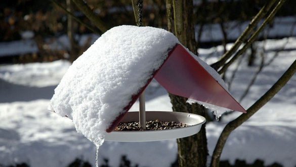 Vogelhäuschen