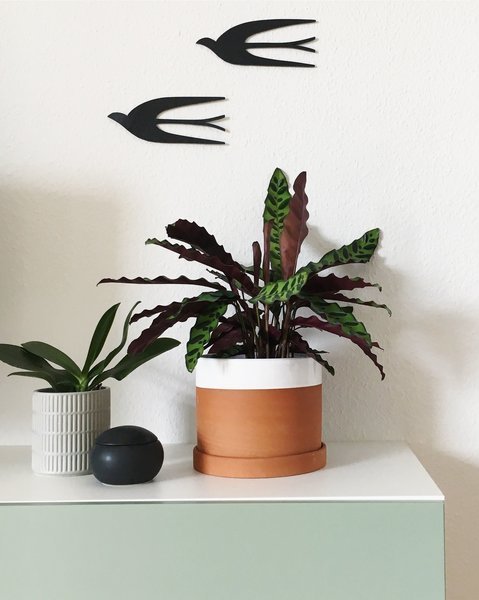 5 Trends aus dem Juli | SoLebIch.de