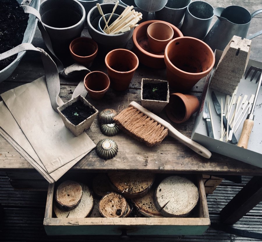 Pflegeleichte Zimmerpflanzen Pflanzentöpfe auf Tisch