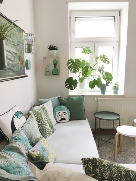 Pflegeleichte Zimmerpflanzen Monstera in Wohnzimmer