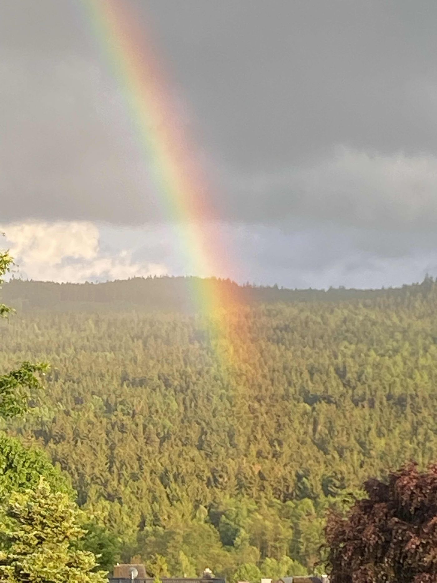 Rainbow