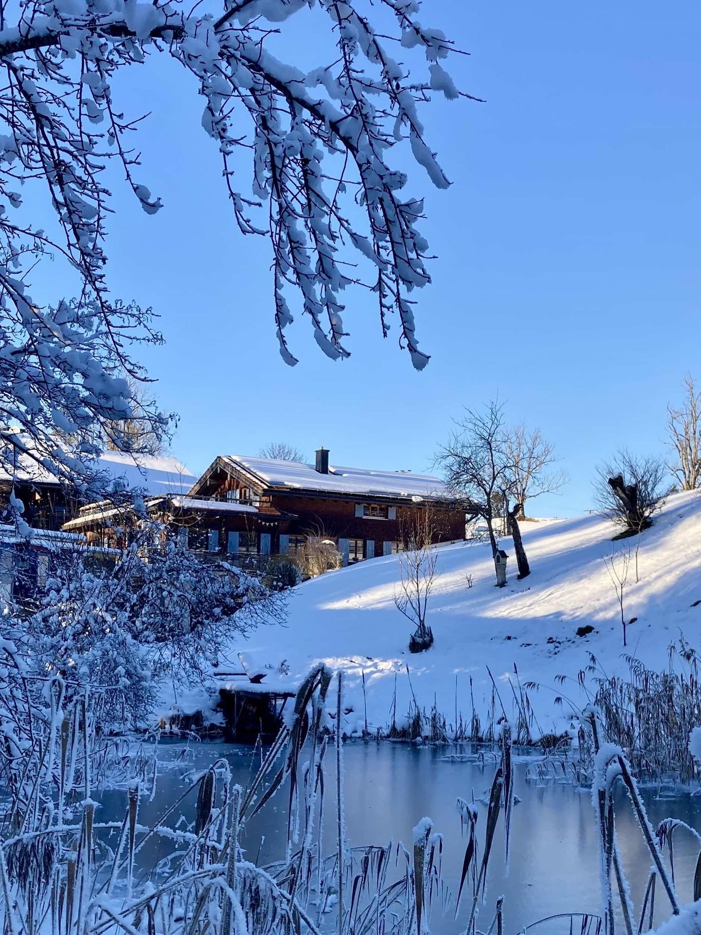 Schnee