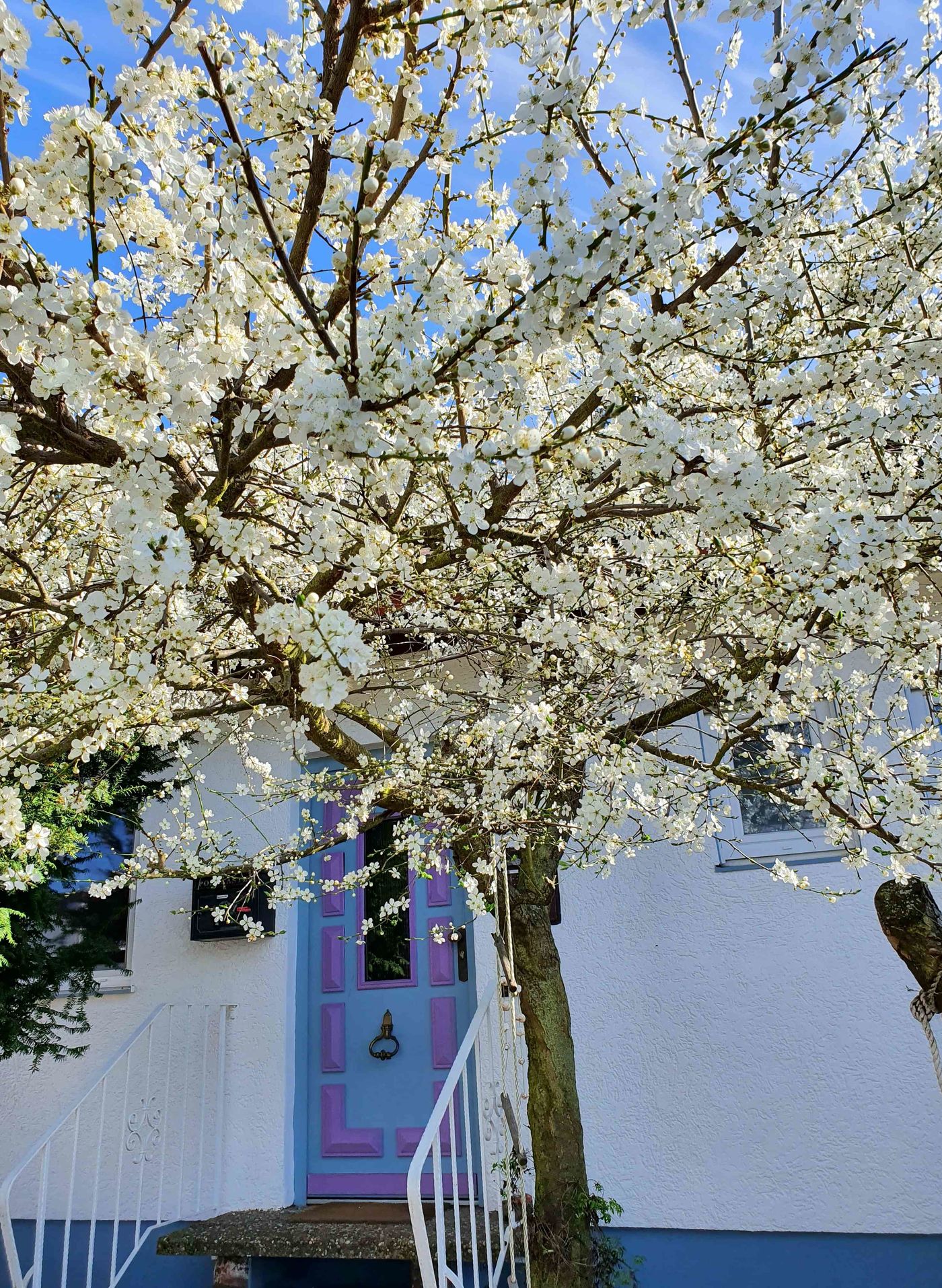 Frühlingsdeko