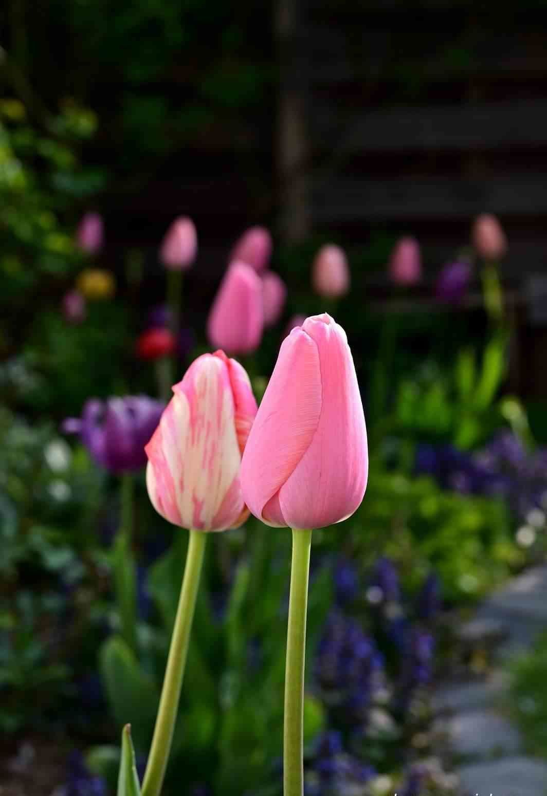April