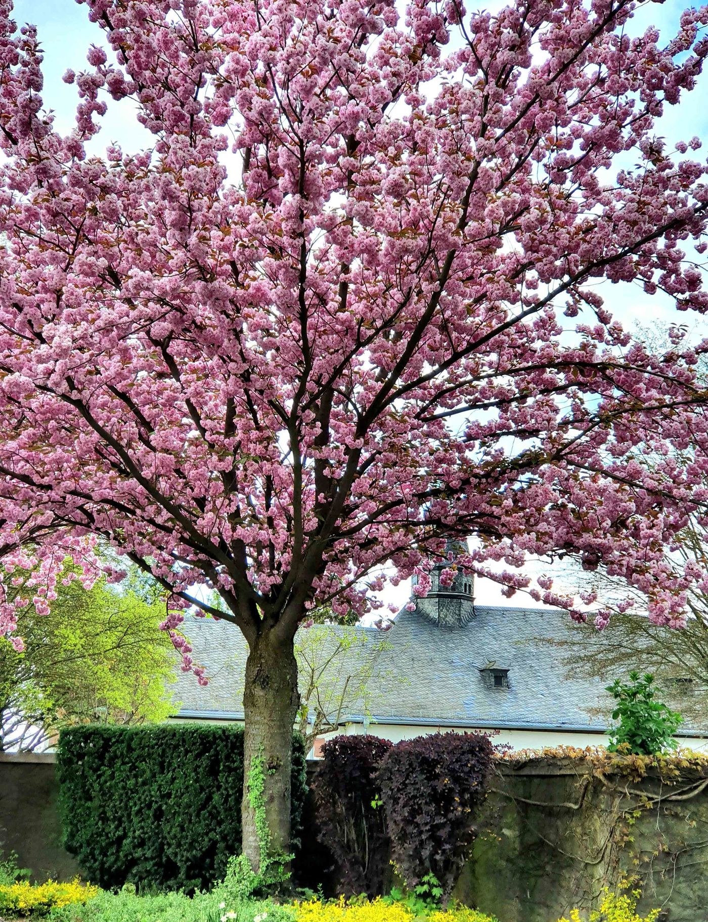 April