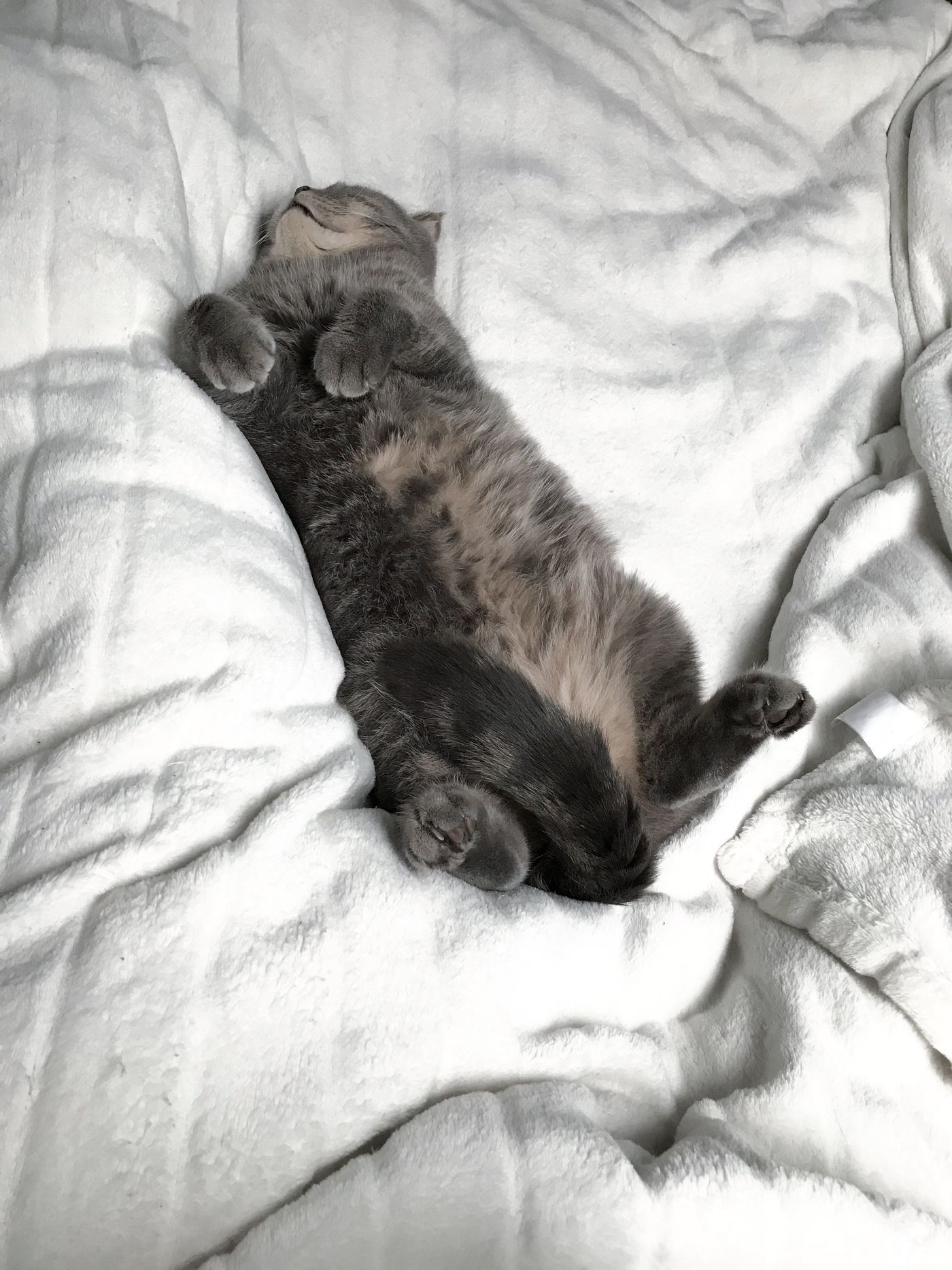 flauschig