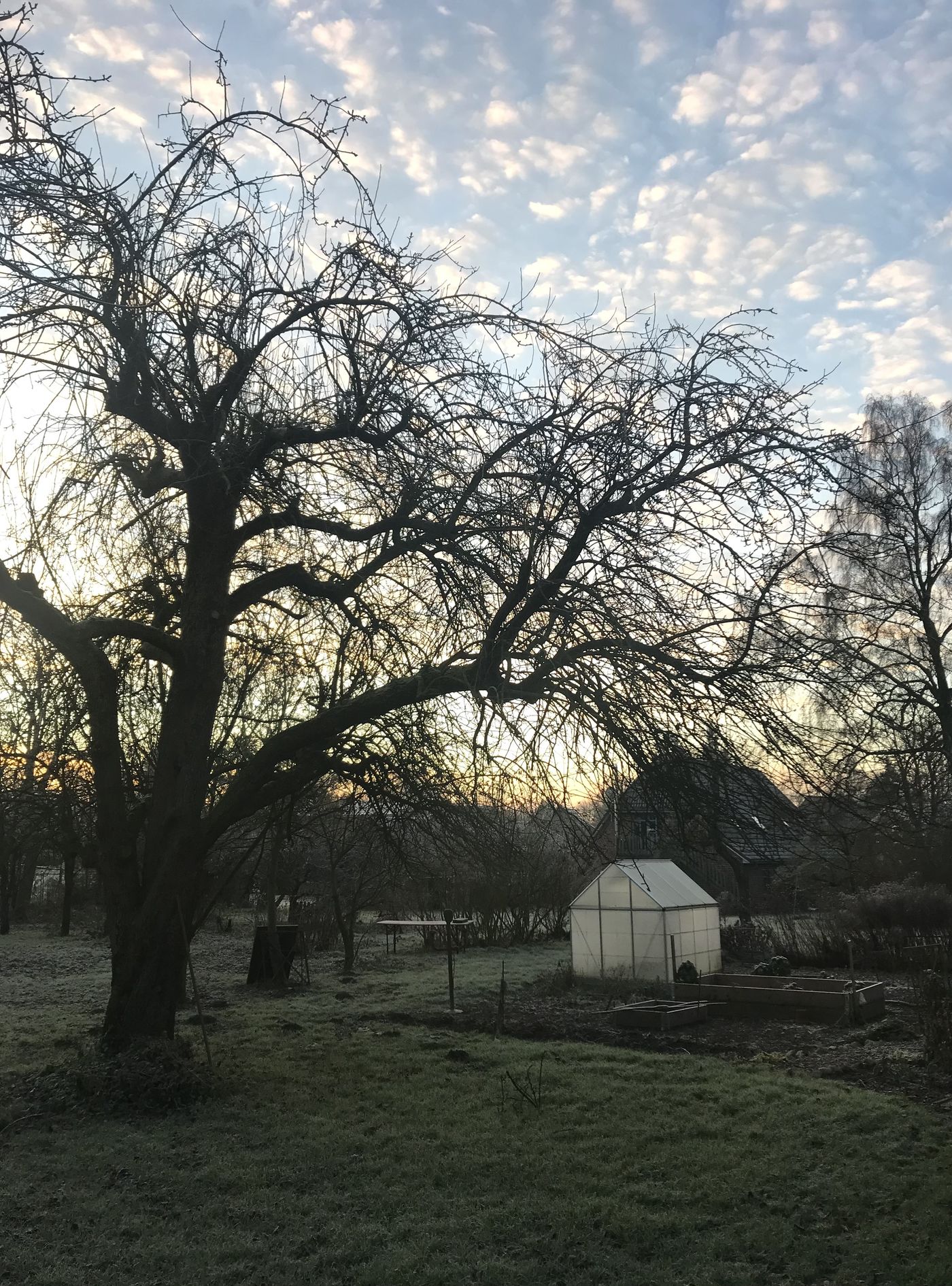 Frost