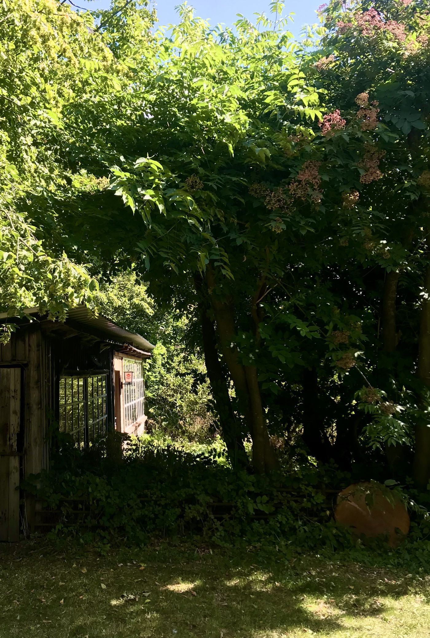 Lost place