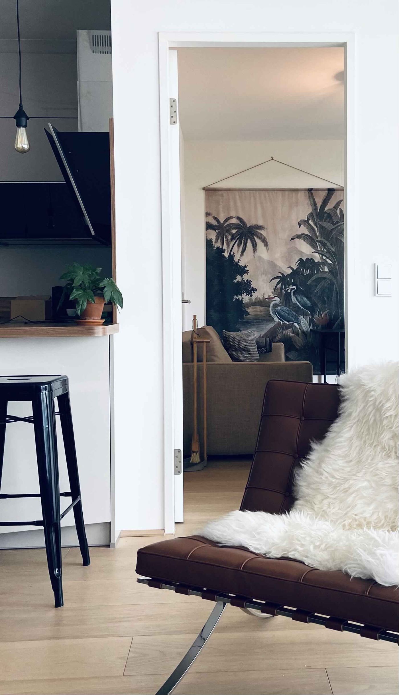 Ludwig Mies van der Rohe