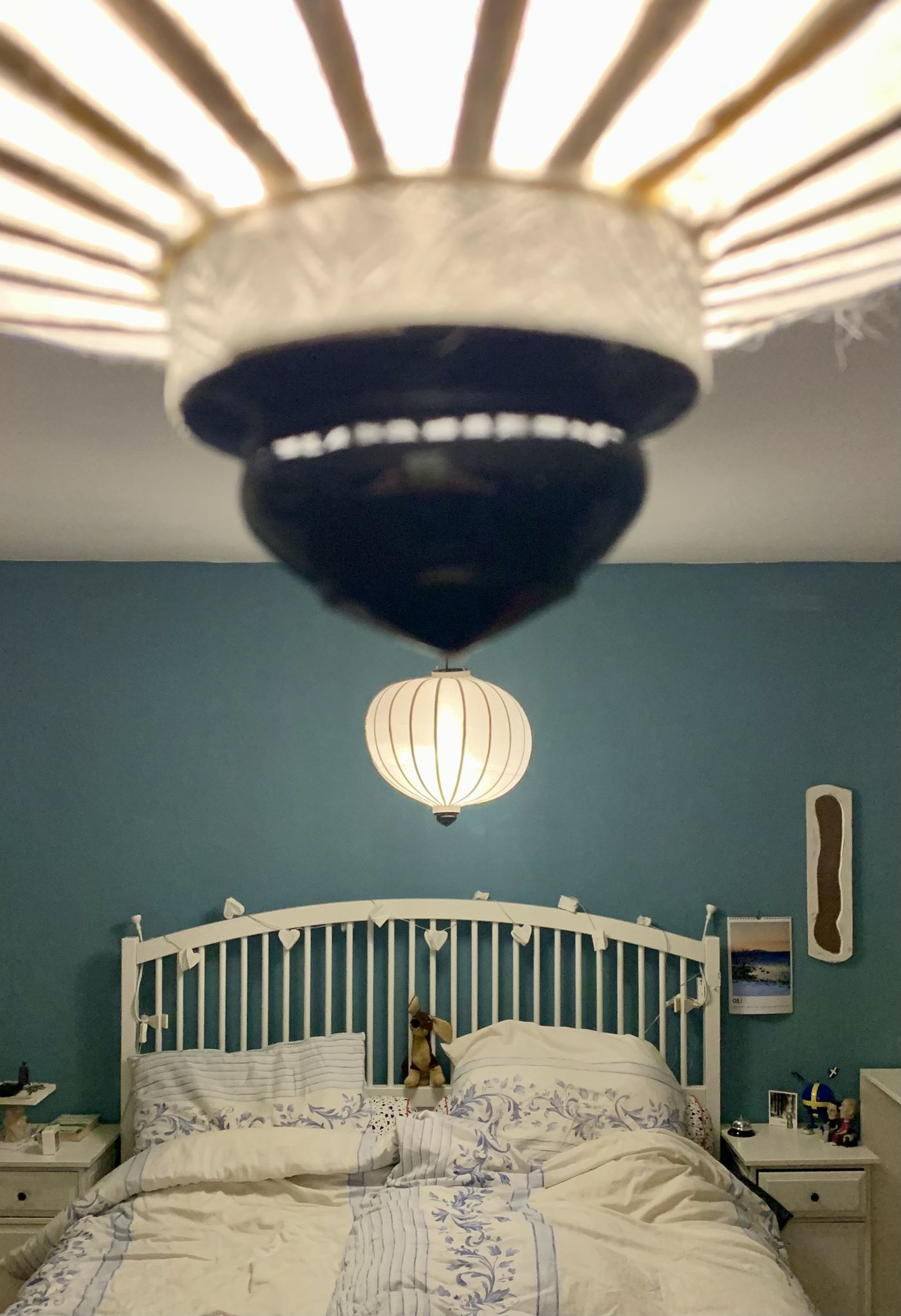 Lampionsenzo