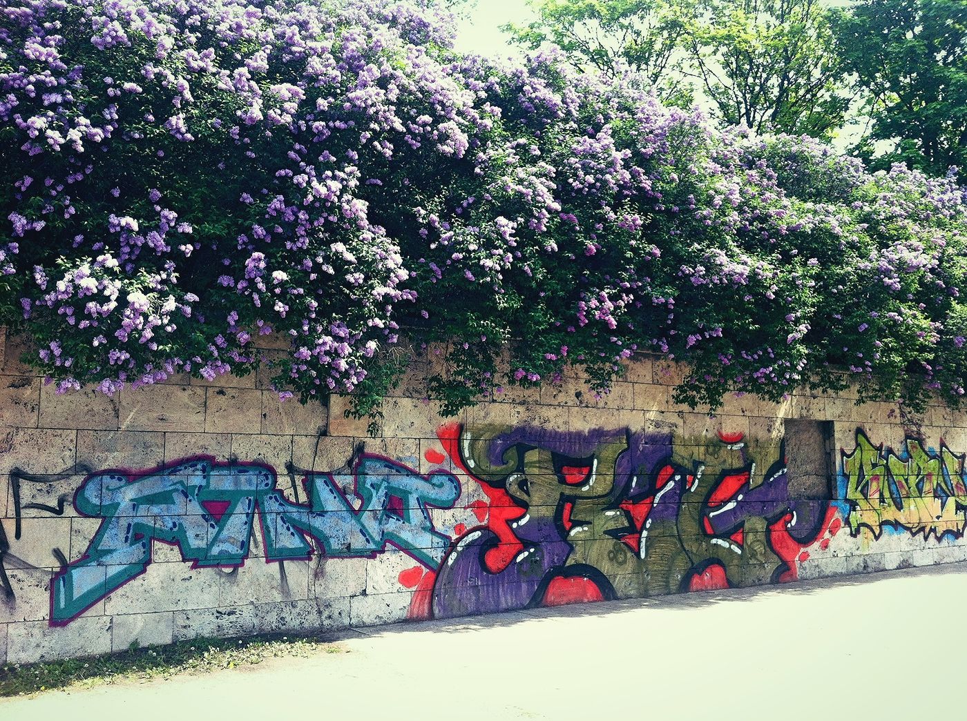 nature meets street art