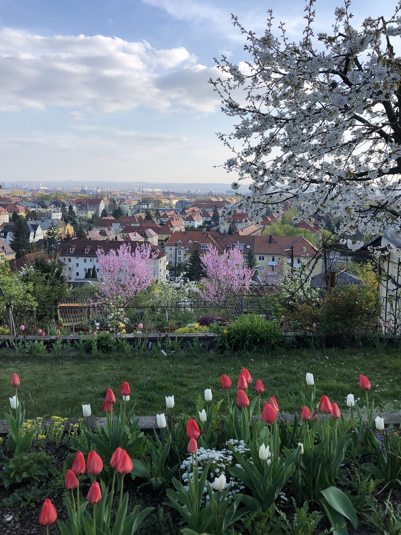 Kleiner Garten