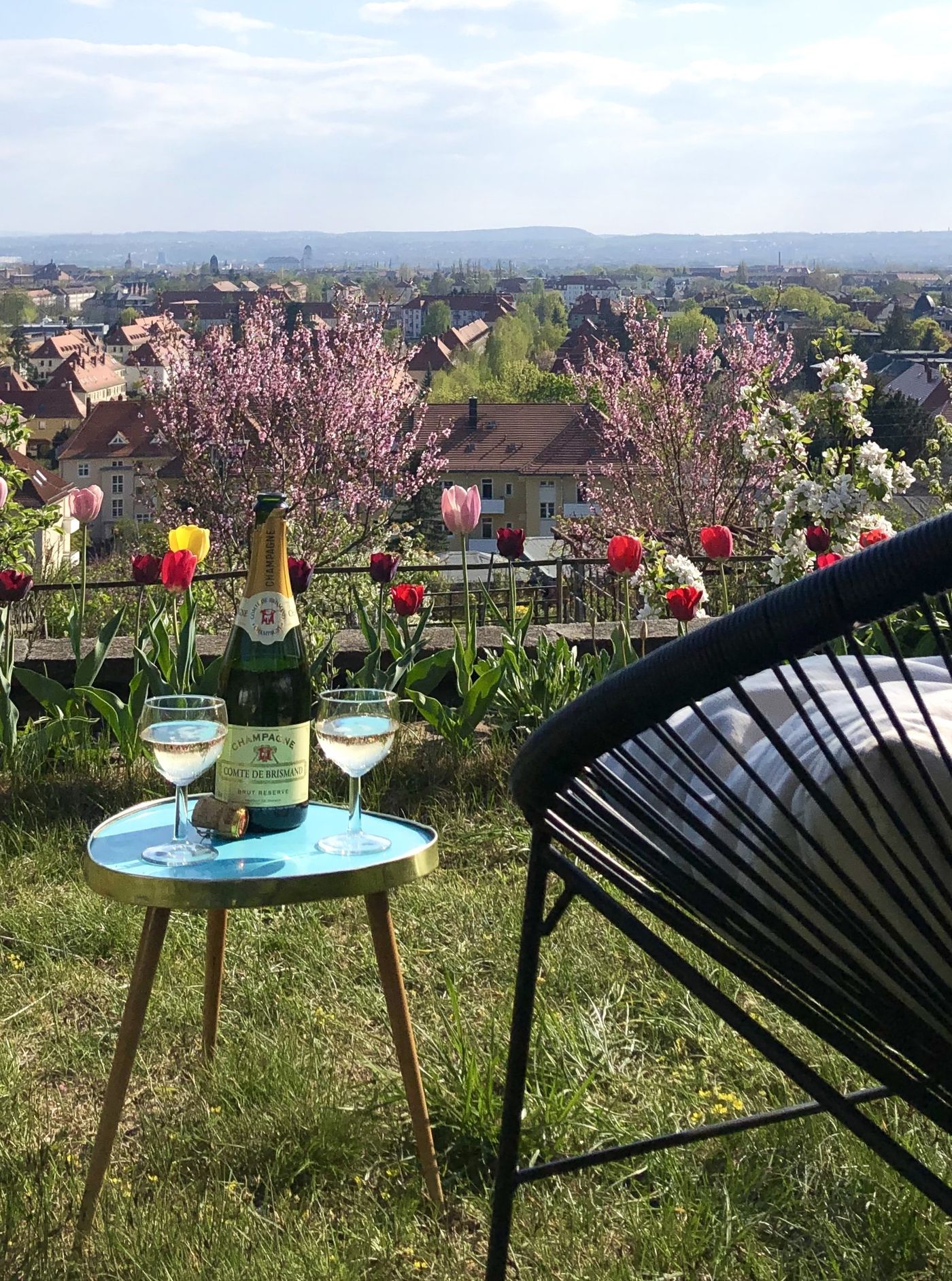 Kleiner Garten