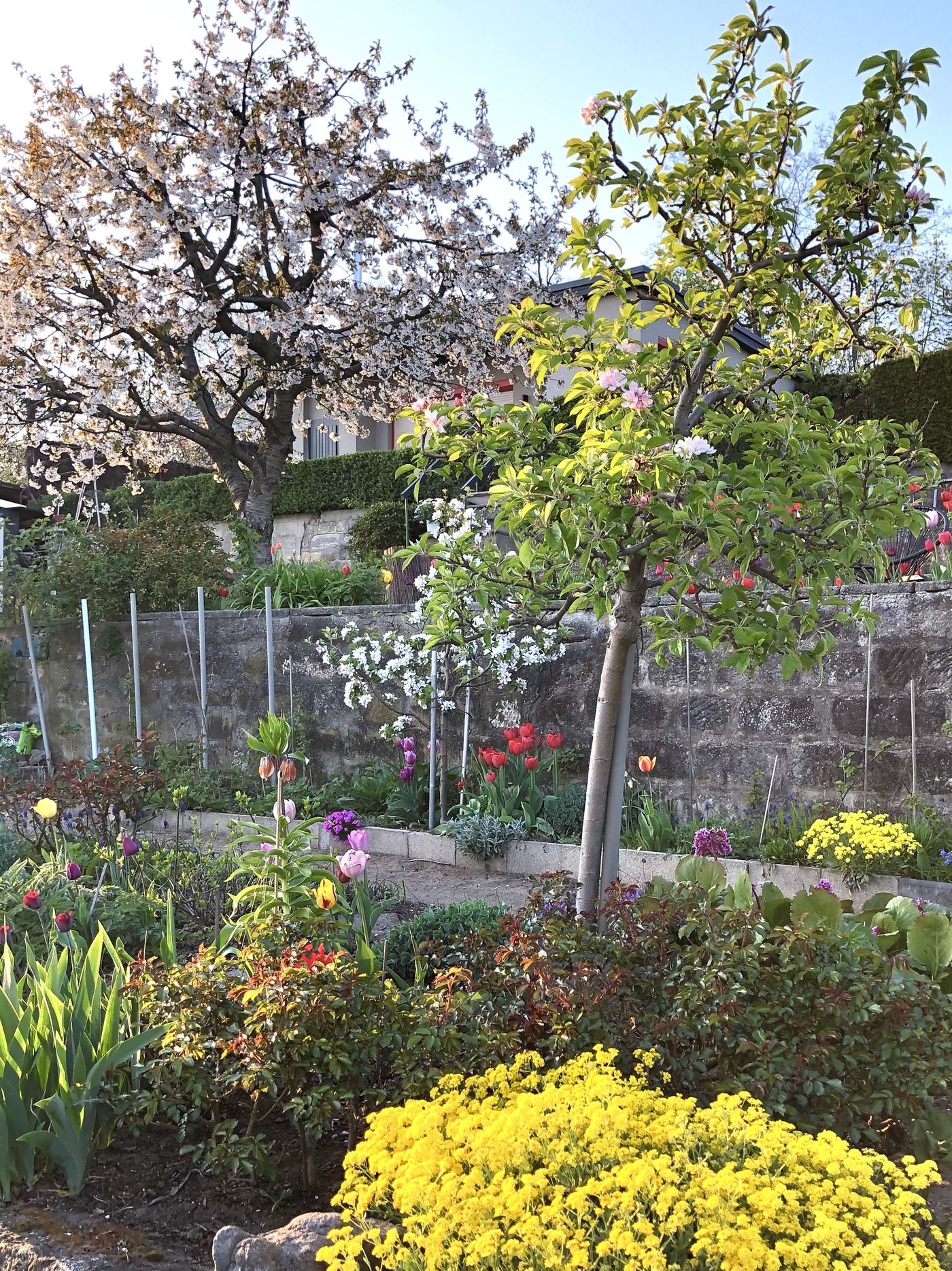 Kleiner Garten