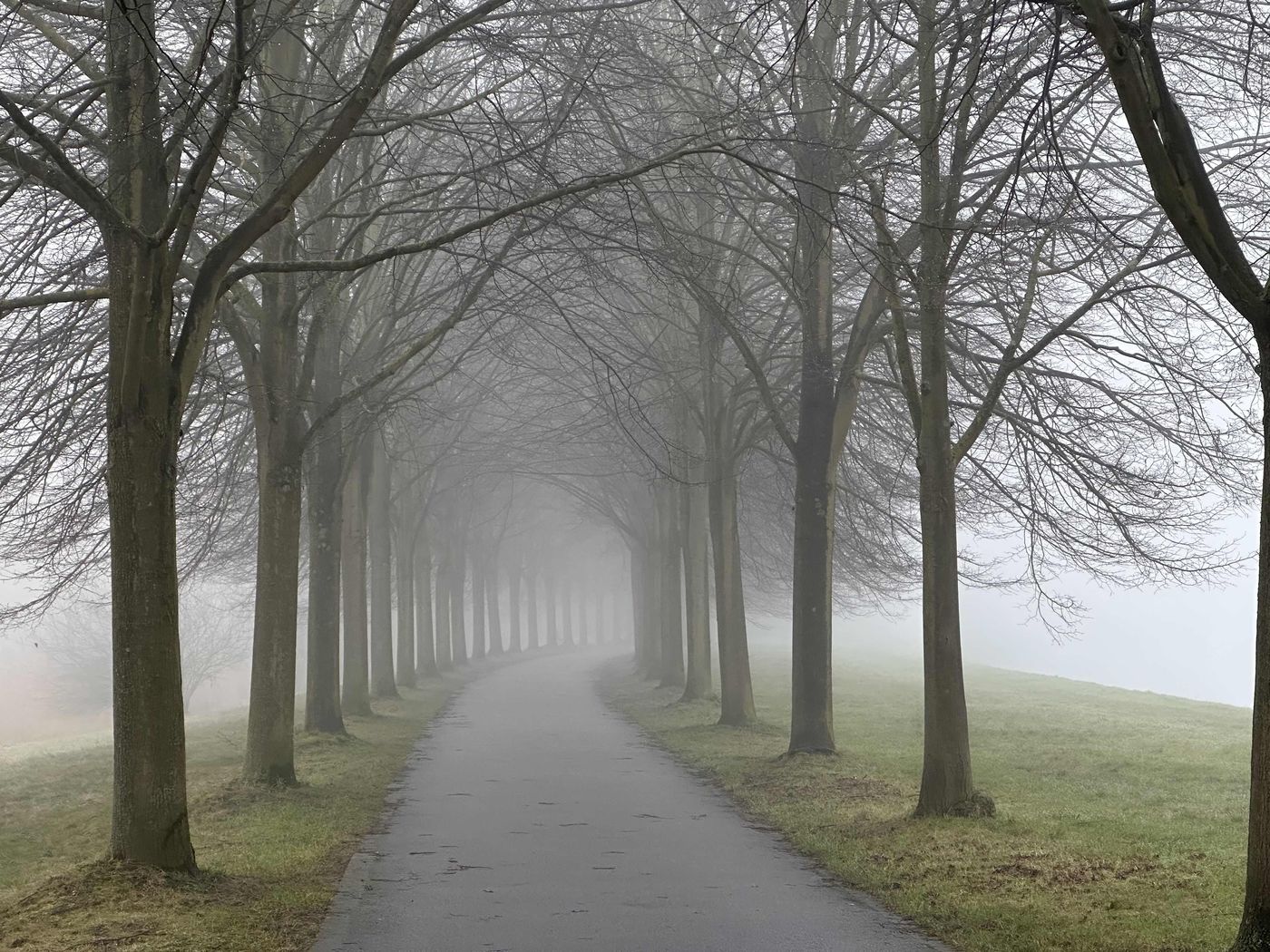 Nebel
