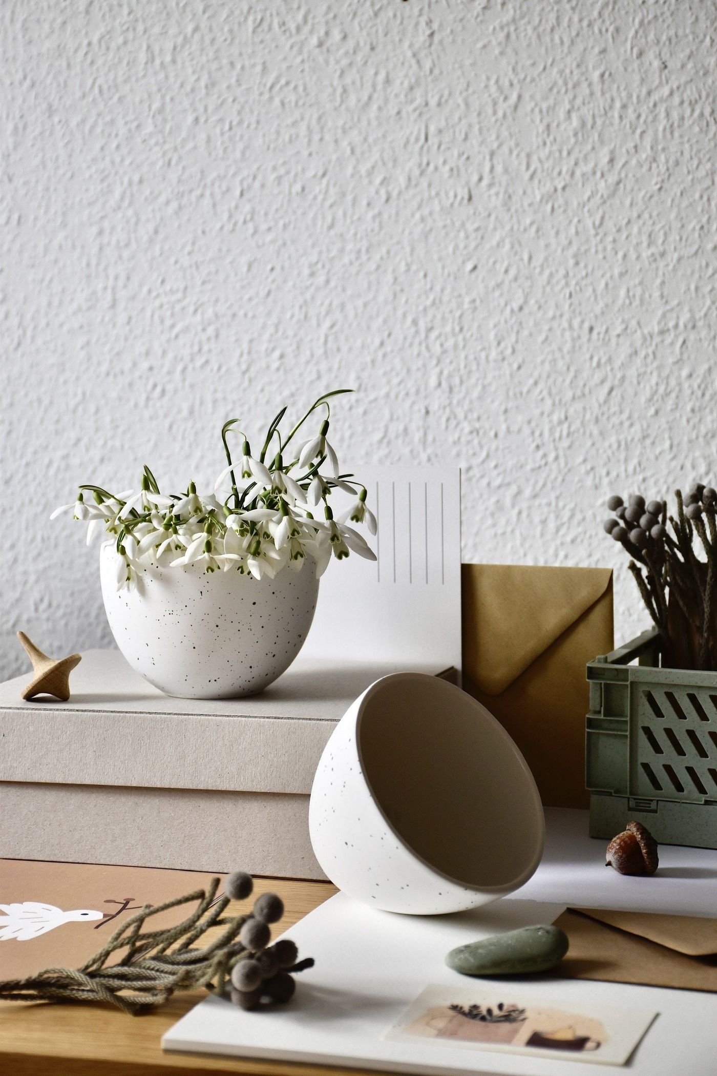 Frühlingsschale bepflanzen