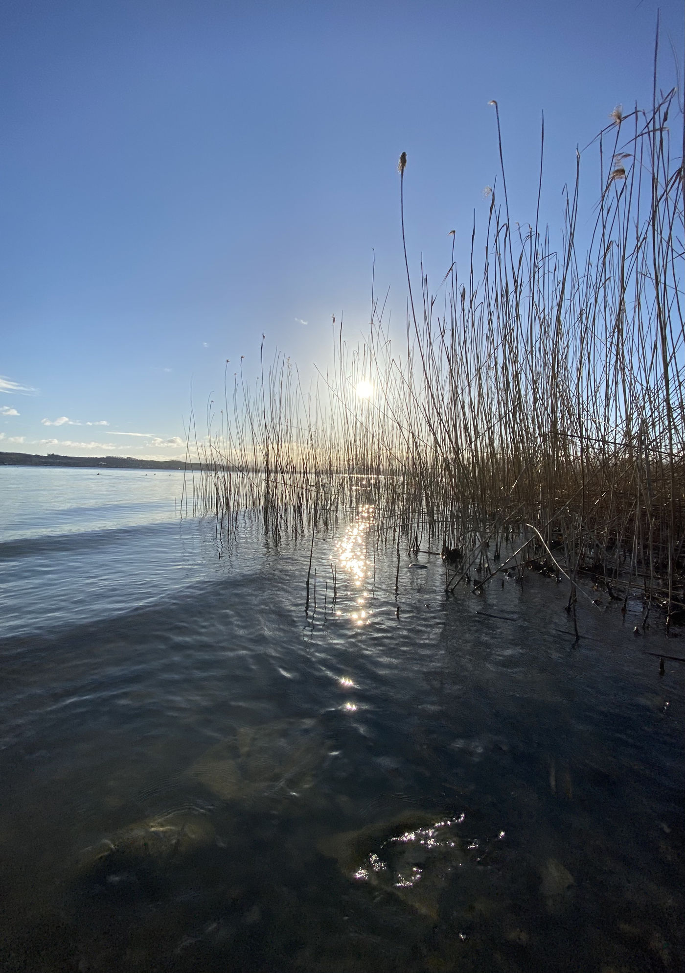 Bodensee