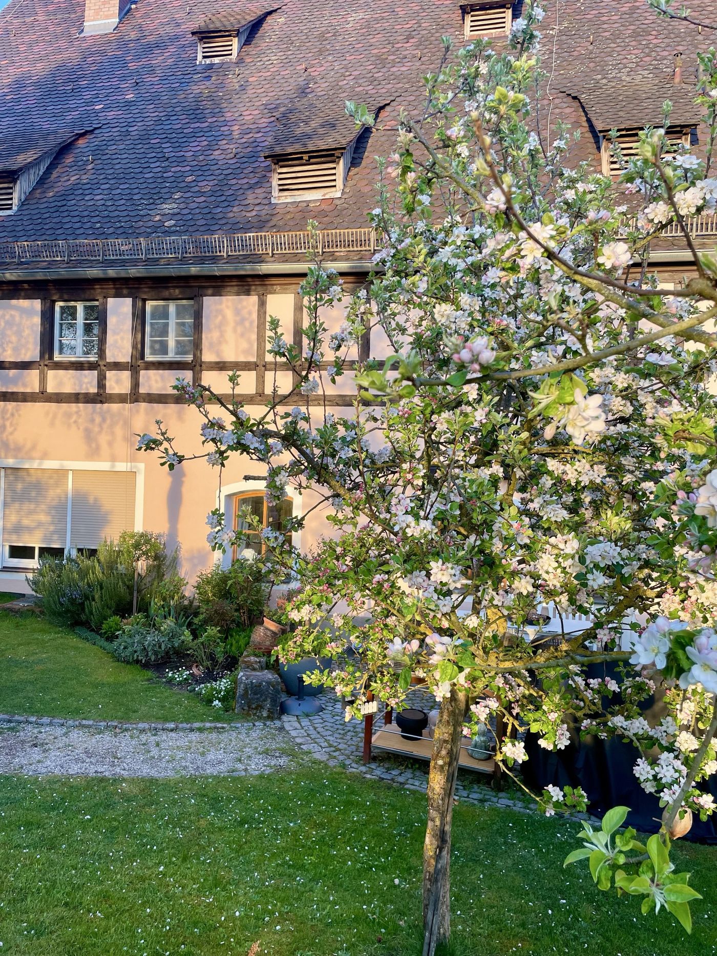 Gartenimpressionen