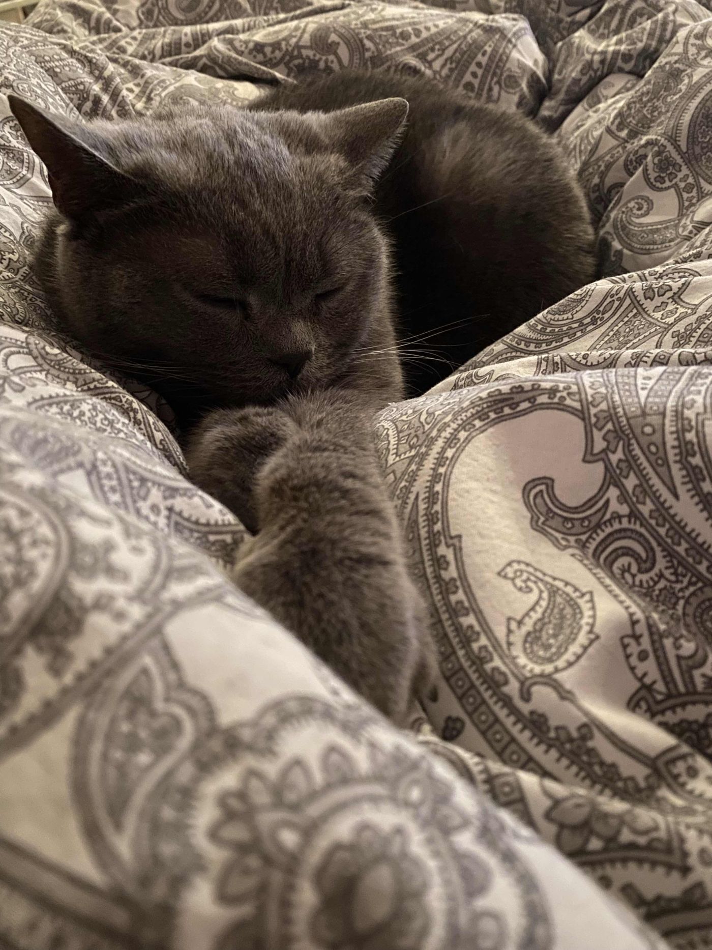 flauschig