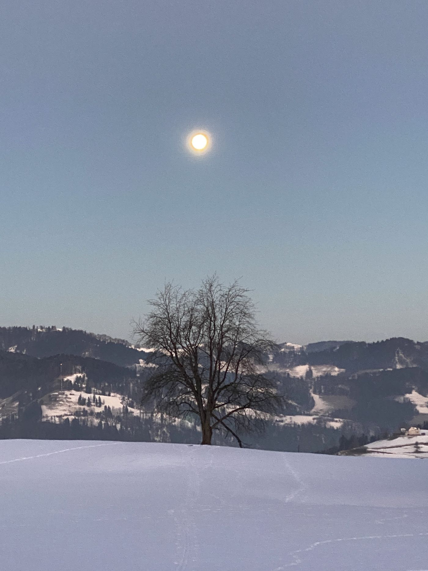 Landschaft