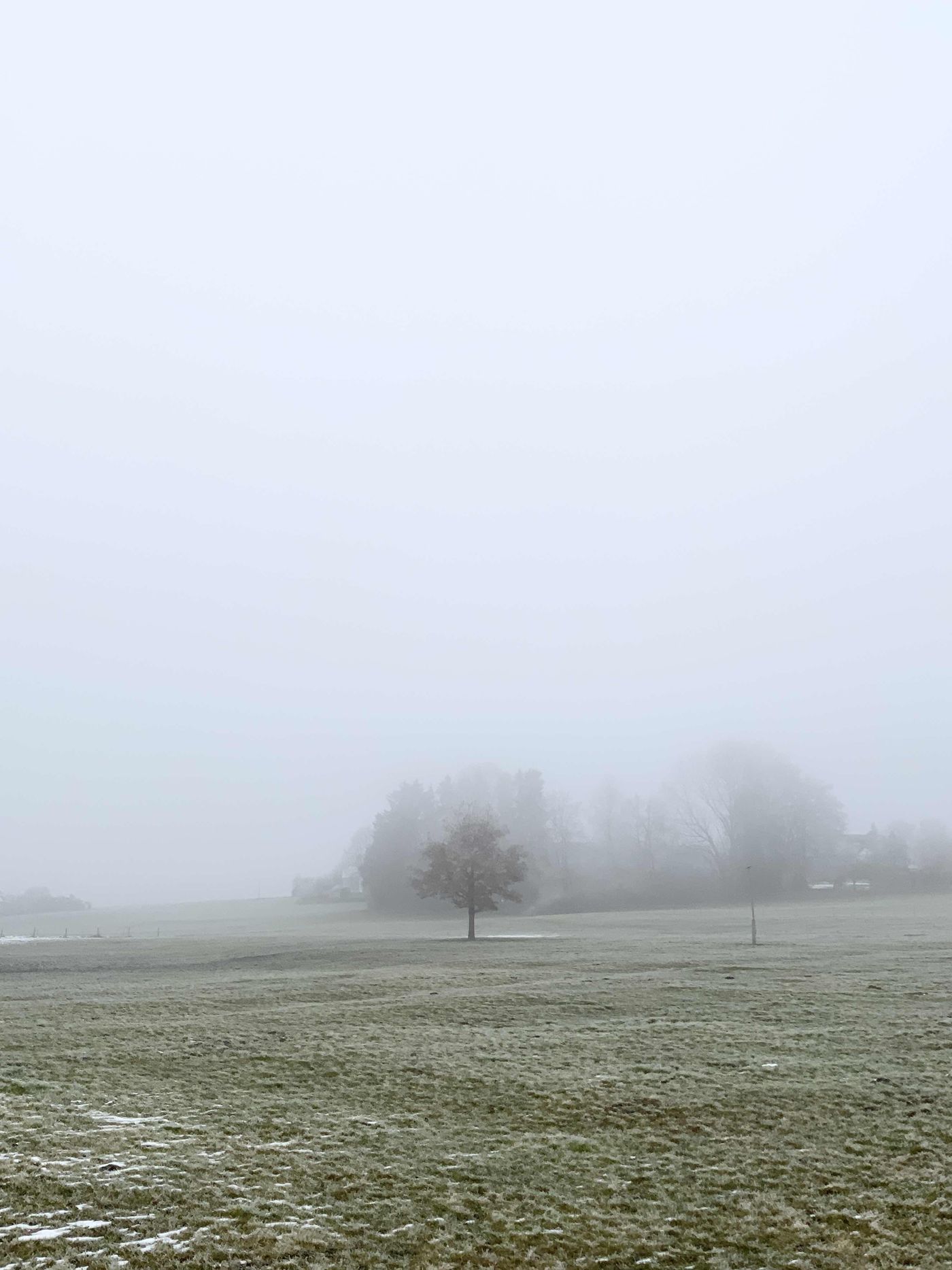 Nebel