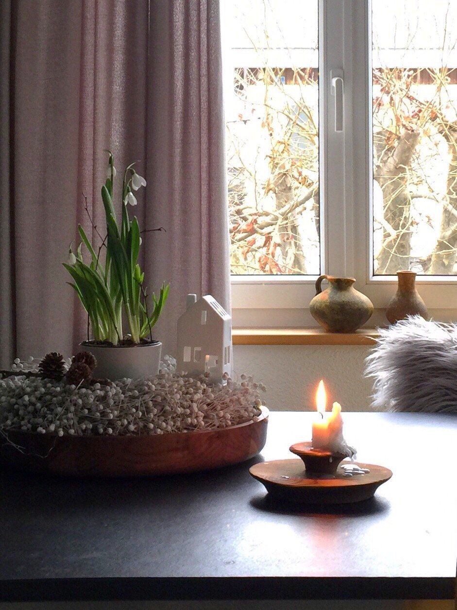 Schneeglöckchen