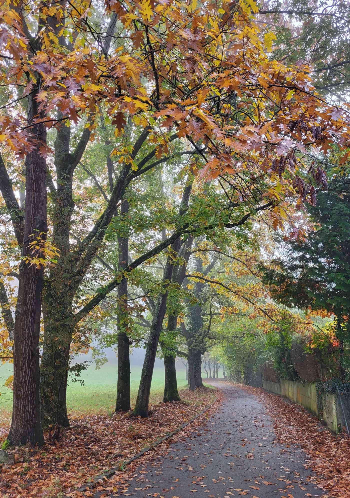 Nebel