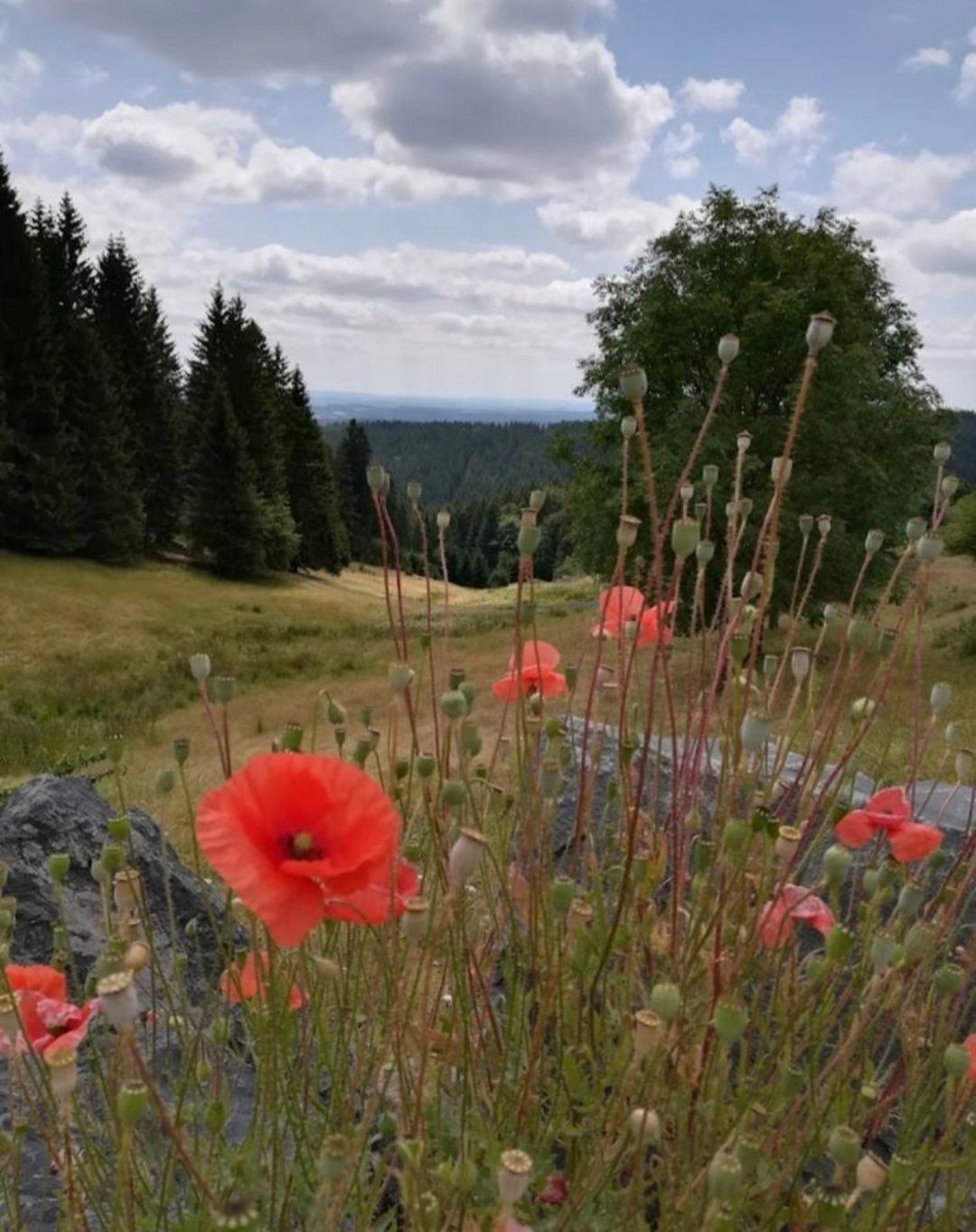 GLÜCK