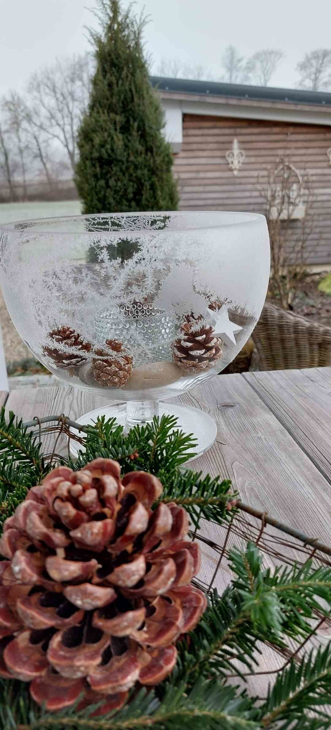 Eisblumen