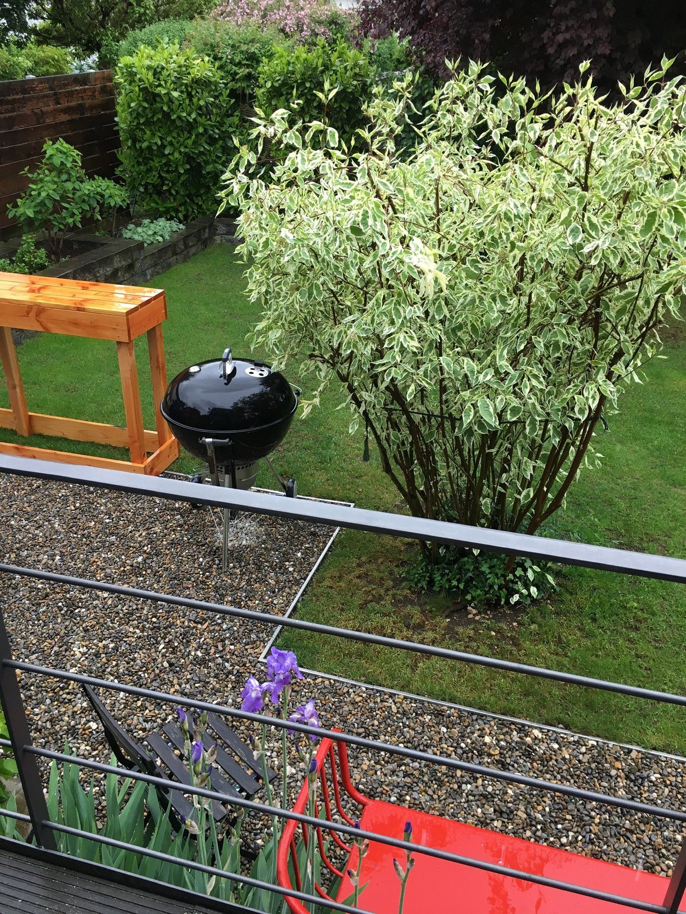 Regen im Garten